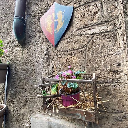 Villa La Torretta Nel Borgo Ronciglione  Esterno foto